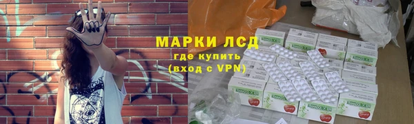 гидра Аркадак