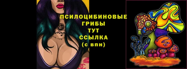 винт Арсеньев