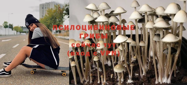 винт Арсеньев