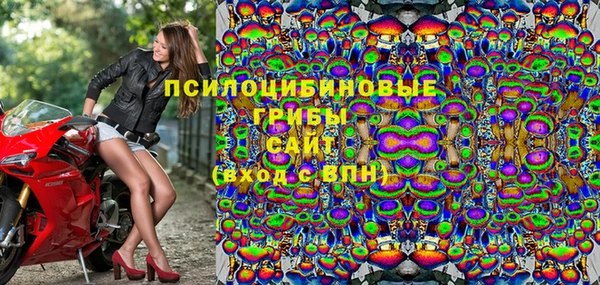МДПВ Армянск