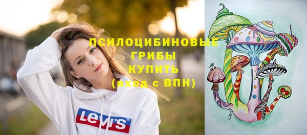 гидра Аркадак