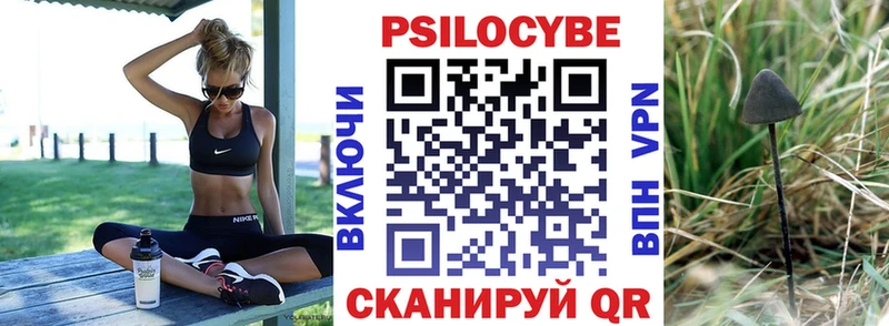 купить  сайты  МЕГА вход  Галлюциногенные грибы Psilocybe  Правдинск 