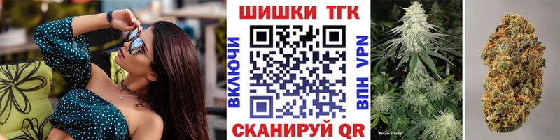 Каннабис планчик  купить наркотики цена  блэк спрут маркетплейс  Правдинск 
